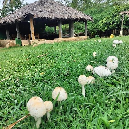 Hidden Place In Hampi 호텔 외부 사진