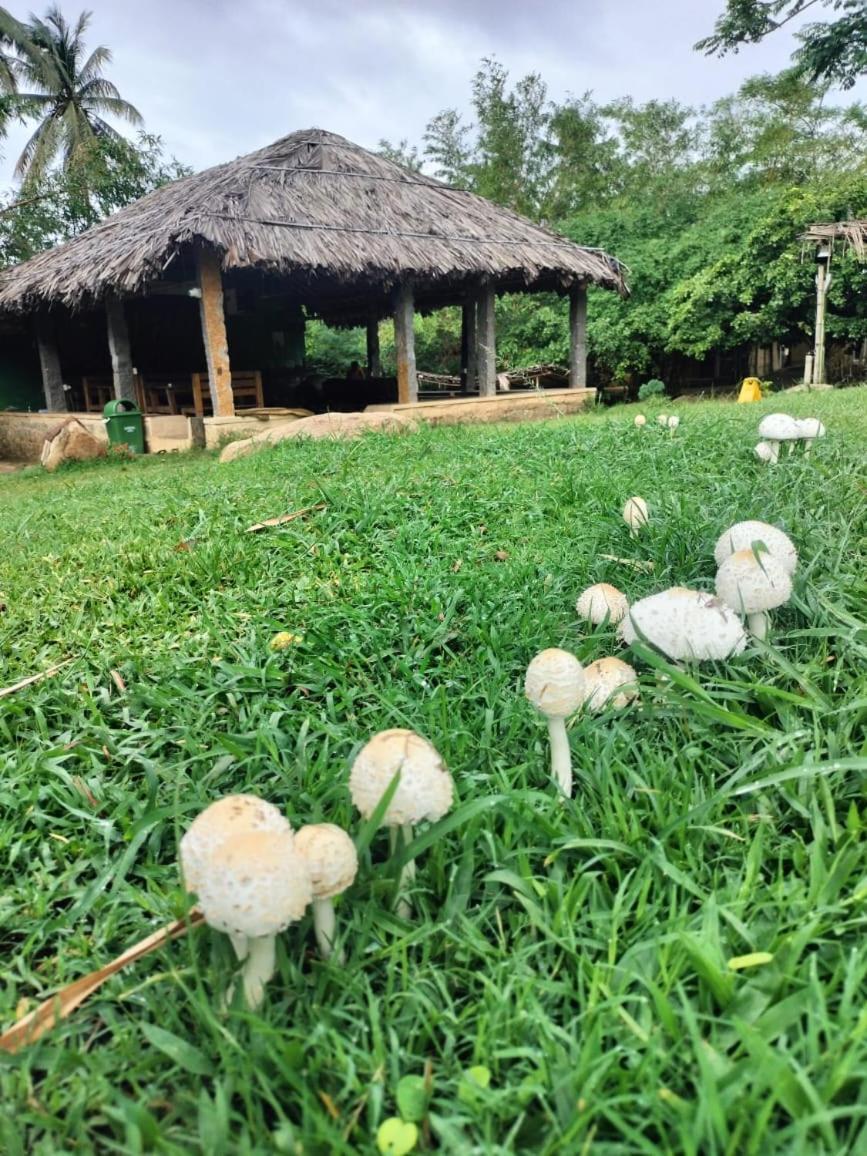 Hidden Place In Hampi 호텔 외부 사진